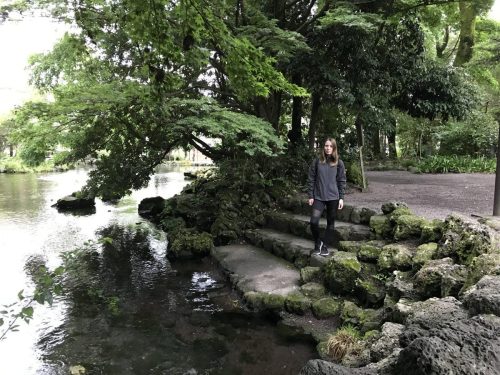 5308013d-525b-4f77-85c2-dd9c5e21cd78