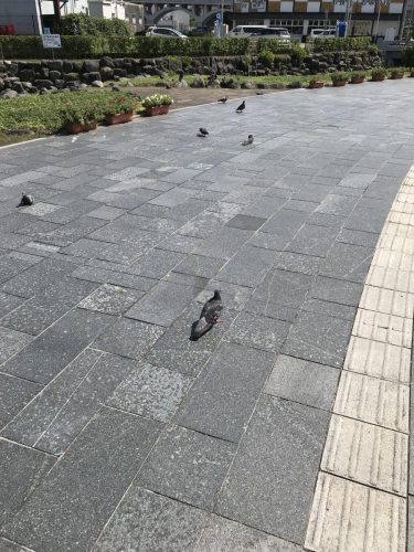 66cfdf57-bf9f-4a30-8114-a30cf74e9b0b