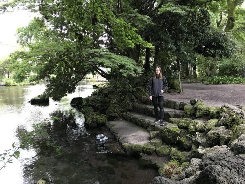 8893c131-c96e-4f4c-91bd-58466b1bffbd