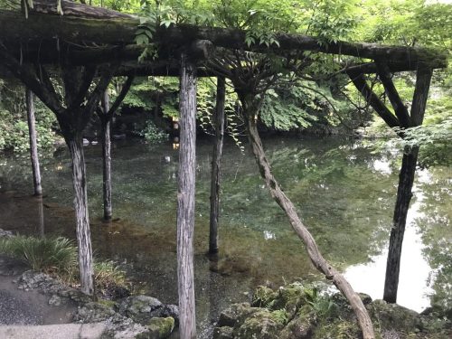 963656f7-2df2-49a1-bfc0-7f7acf175b69