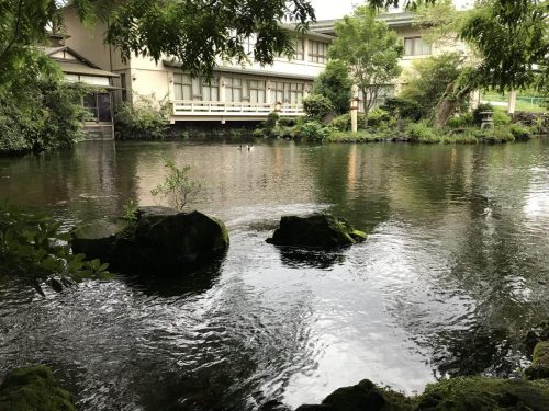 9946abc9-1724-4512-b756-0a0e1ece21bf