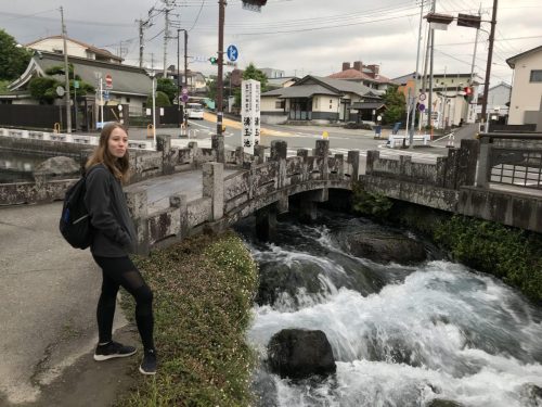 9a361ff1-6180-453b-b944-4ca30d213f1c