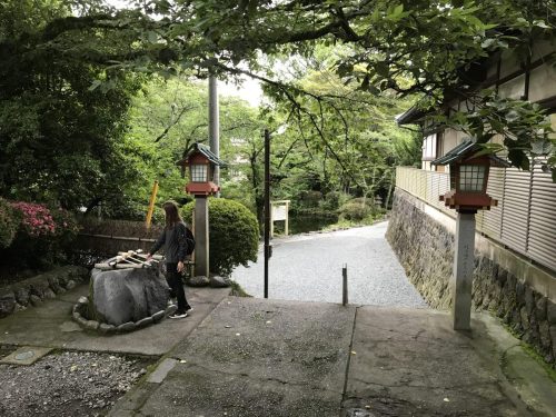 9e422749-b9b9-4f02-8210-481216da6b9a