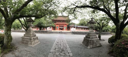 d3906e6e-88ab-4a74-8b1f-24f24fae02c8