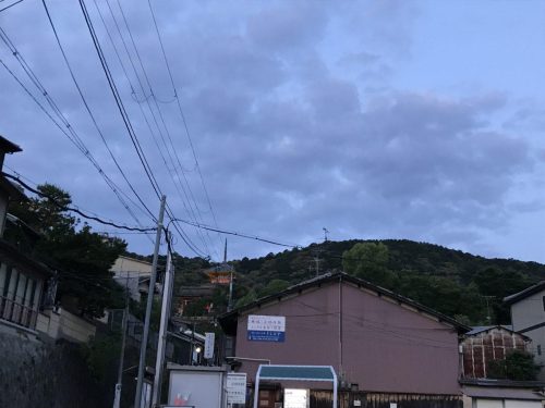 85015b1d-9241-4389-a6e4-cb60ae6ae195