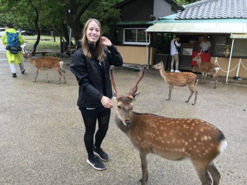 04ed741b-ac3a-4f93-a776-571b2bf4235b