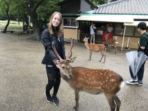 05c01b1d-5ba6-46f3-9204-a81d17014f28