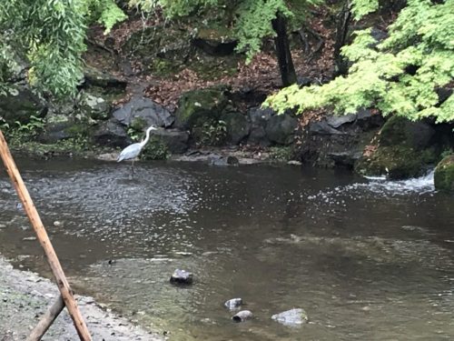 0a81e747-7eae-4751-bde8-bfc0f9f8c68a