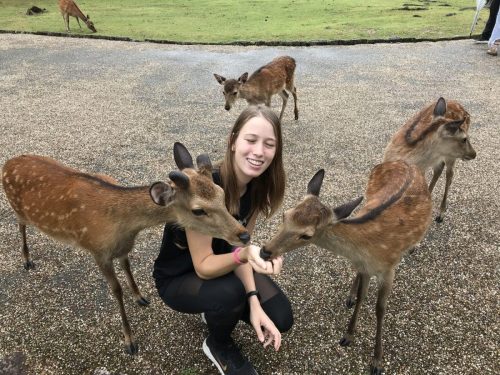 0b2072e8-5055-4658-89ce-e3674933c647