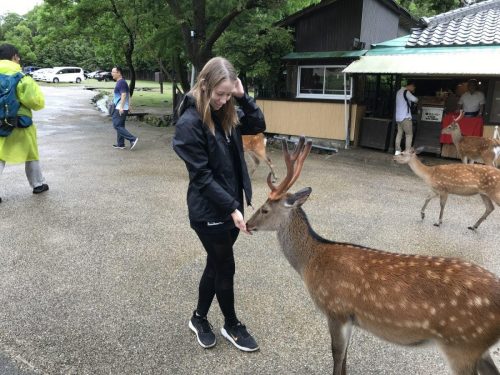 0cd5f4d7-44c6-4354-8019-54fd4937b744