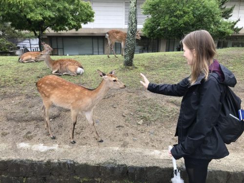 178a6a17-c1b8-4d70-91ca-6926c7a3b778