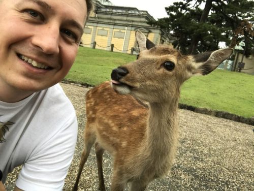 18149a6e-2f85-4f95-bb74-cf4b147f5965