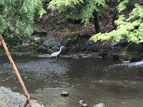 19868119-92c8-4e11-ac7a-f91c7bae5181