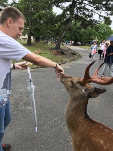 1f6f3928-df54-459f-a024-c8f9fe445430