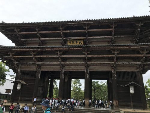 1fc42d18-e7b3-419c-919f-d9a6cefa8e57