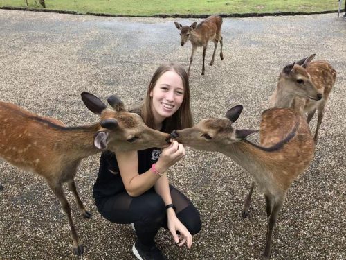 226b8539-f575-414b-a891-c369bf6cbc6a