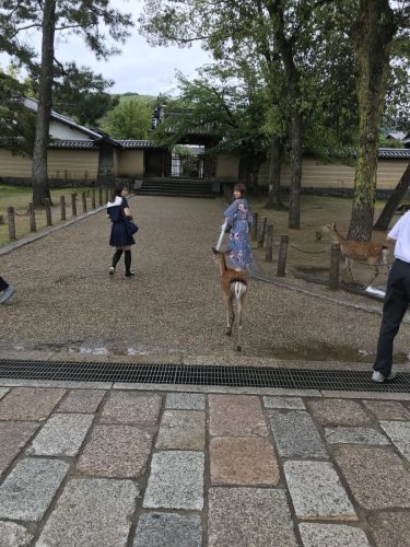 22dfc458-a2c6-42da-9e98-ed704389c1a8