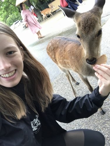 251fa961-88fc-4f7e-b7b8-783b8fbe81f1