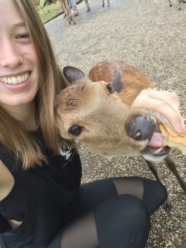 2949e176-f22d-43a2-9336-ebf63d9ba360