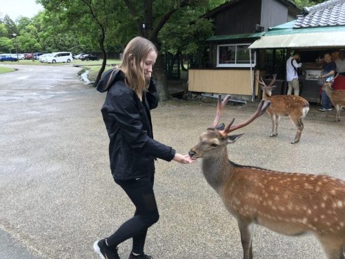 2e7fa75b-2b79-46a7-93ac-4051f5ab229b