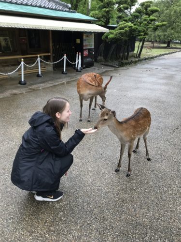 305a3a19-f7c6-41a9-9aad-35fd6499a47f