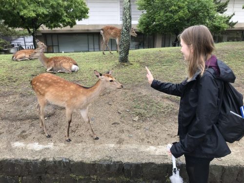 315f3d73-20bb-4915-a8ef-097aa9a095f8