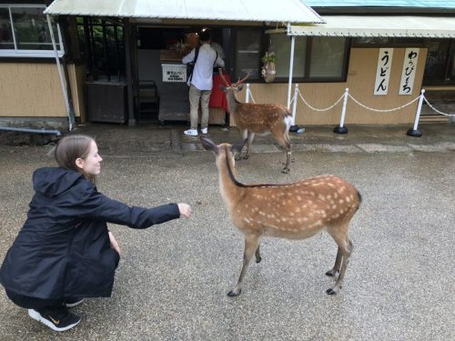 3160622b-6975-44cd-a47e-02a3ae9f1889