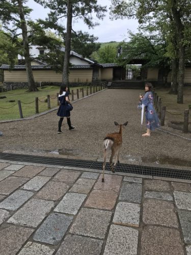 356a9423-b40f-4353-a9f2-f2ba5c58be5c