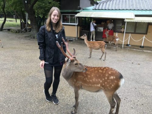 35b15429-601a-4891-bc4c-632ed7e9fd76