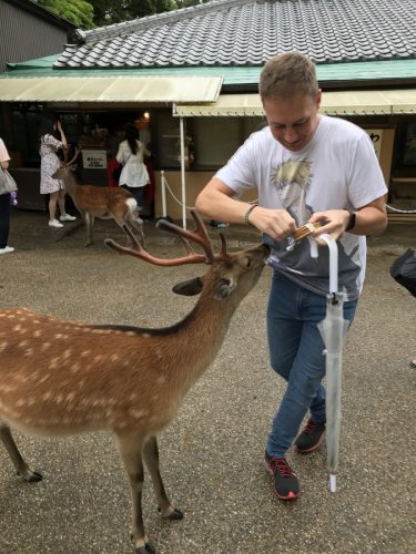 35eb9716-99ed-4dd6-bdd2-599b3cf57f21