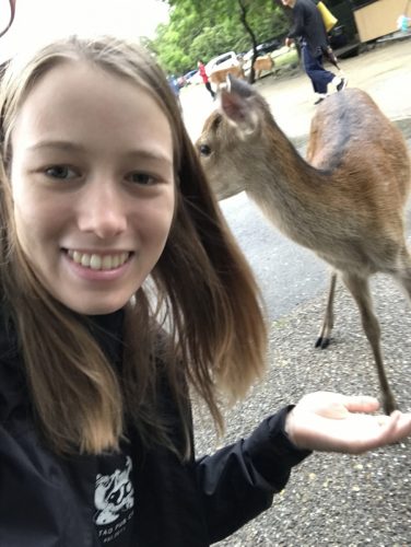 3a00f9b0-80c0-4b0d-ad1c-8988c3a9541e