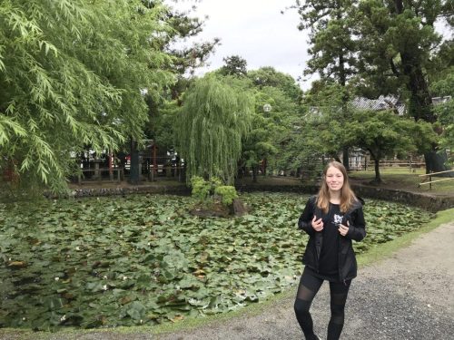 4017a93a-6e48-4385-9b70-ca020e8414bf