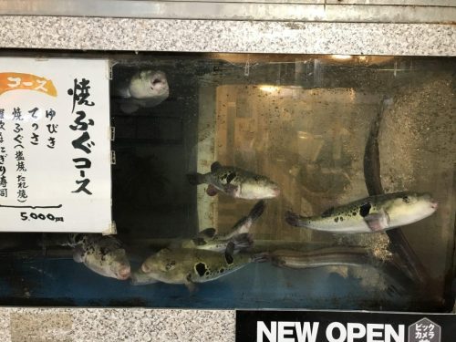 42a1118d-2163-4ae1-917f-07929dcd8a48