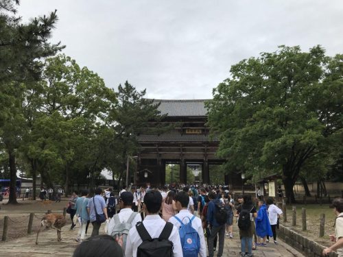 444621b8-cc05-418d-ae51-1656e5a1295f