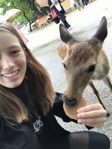 47269a5a-07f6-41ca-a943-89c76c4115d5