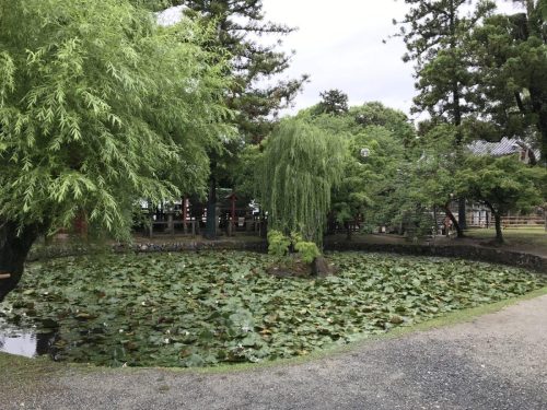 47d6e11c-678c-42ef-be6d-2df57a350549