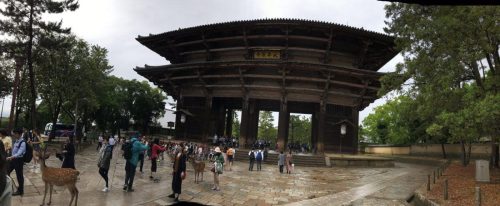 498b52a8-72be-4fa4-9f69-09e306cf94f1