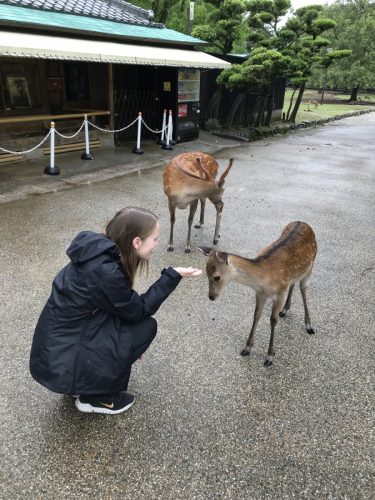 57d6c559-b635-4ab6-a04f-550780b2ddd8