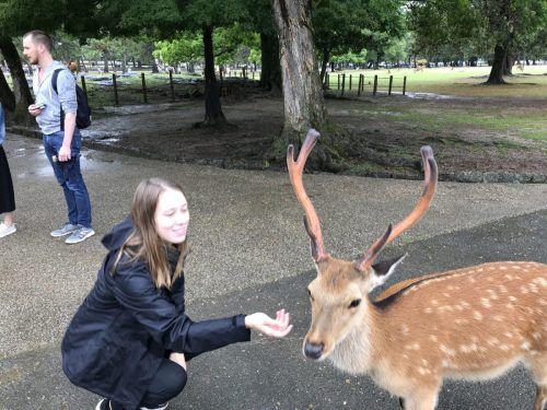 58780d81-7cbd-4679-a17b-3cf5eed2b4f4