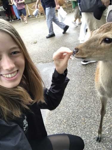 5b3f5aef-0834-44d7-b960-7a526bd5861b