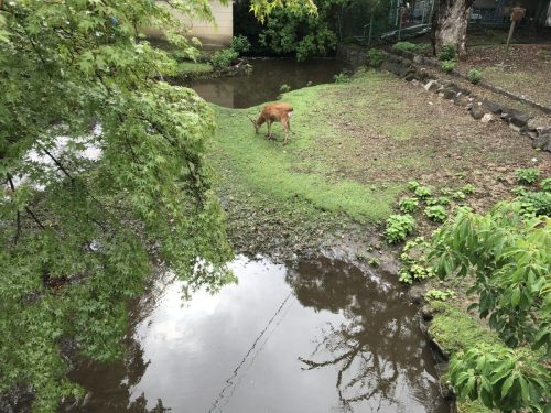 5fb94981-c7be-484a-91de-f5d7bf6d6cfc