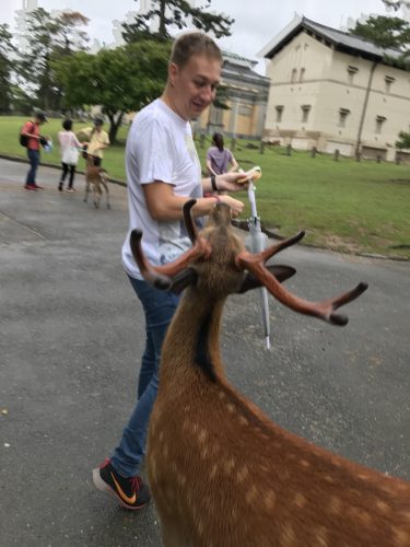 62c5ced8-5f35-4131-997f-f92f3acd62e0