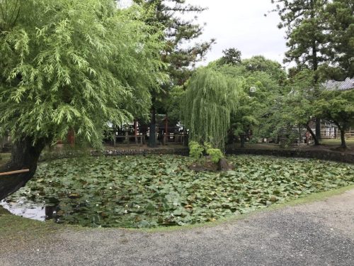 64b6a1c9-d32a-43f9-9b0a-c8831bad9b39