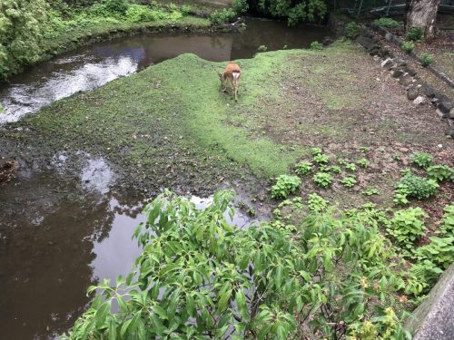 67aa4304-a69b-4002-8f06-5c48292c6e1c