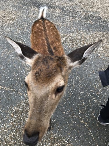 6f21c324-3508-4447-9918-4c31eefecd1b