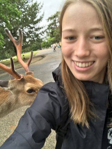 78698ed7-7acc-4374-8ee7-ff44d4349418