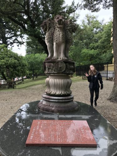 860a695e-eb65-4981-9dd1-e4debdfbcd1b