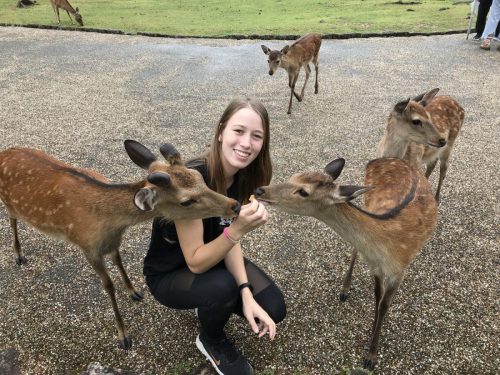 87600d02-409d-4c1c-81a6-eef15ebaa453