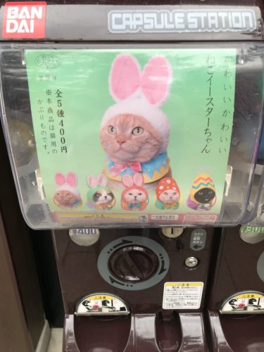 8eeafbbf-3e33-4bf3-916f-724aa4c80232