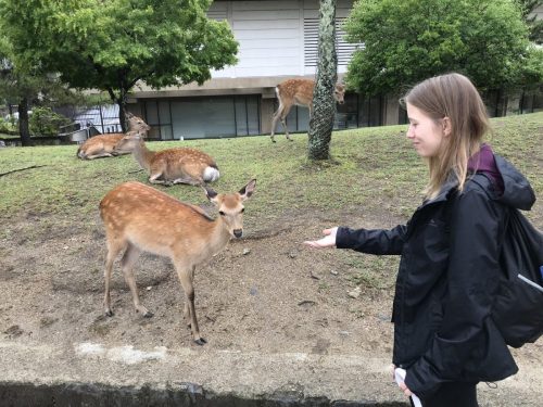 9148f43d-1335-4f7a-b27f-7f96e5984ad9